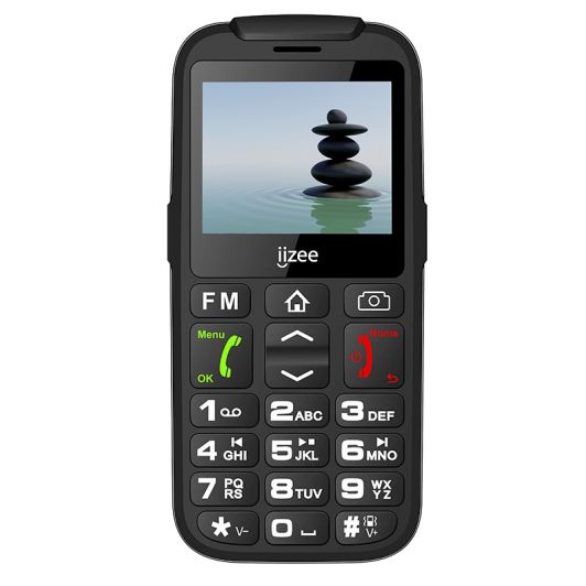 Mobile Senior DANEW IZ202 3G Noir