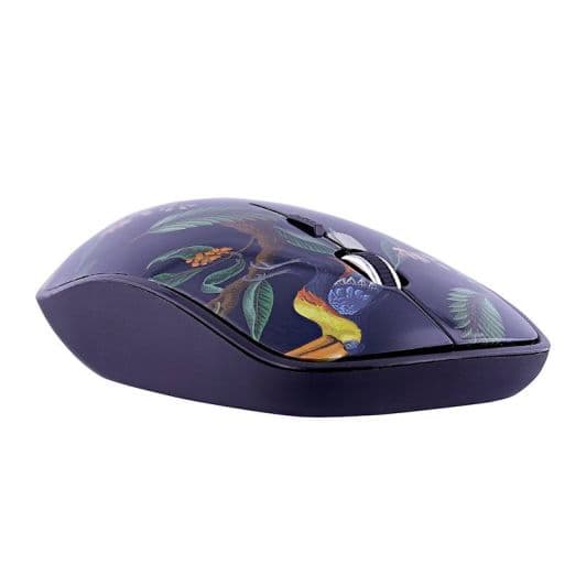 Souris sans fil TNB + tapis Amazonia 3