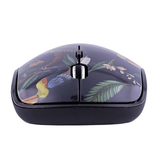 Souris sans fil TNB + tapis Amazonia 3