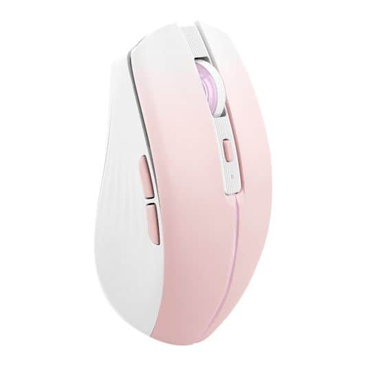 Souris TNB Gradient Pink 