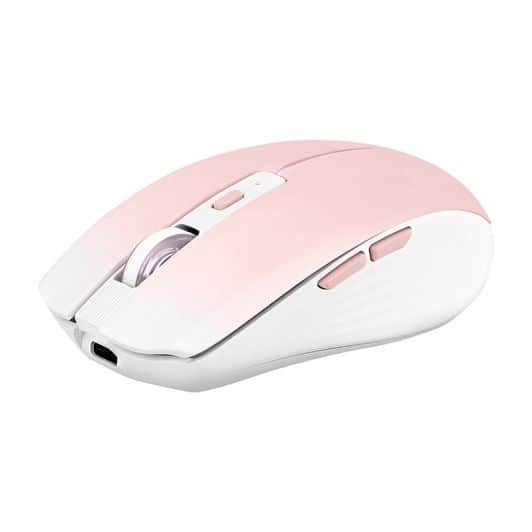 Souris TNB Gradient Pink 