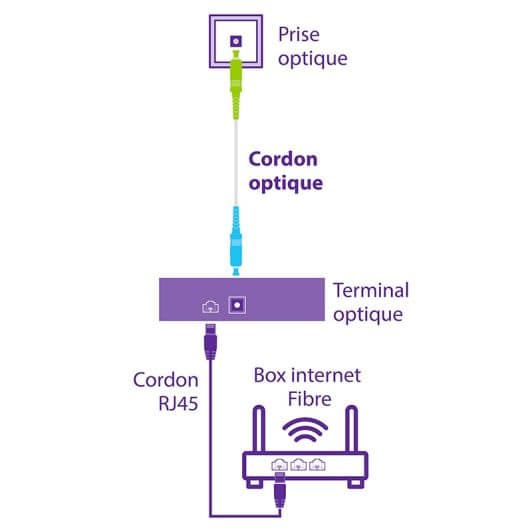 FIBRE OPTIQUE SEDEA 3M FREE